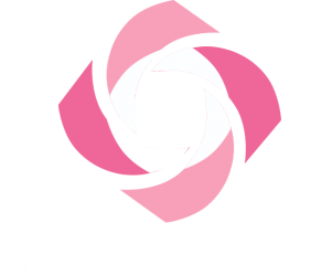 SCANTRAVEL LLC