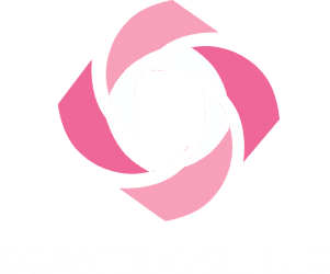 Scan Travel International